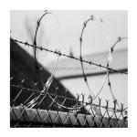Single Razor Type Iron Wire Garden Farm Anti-Climbing Stainless Steel Razor Wire