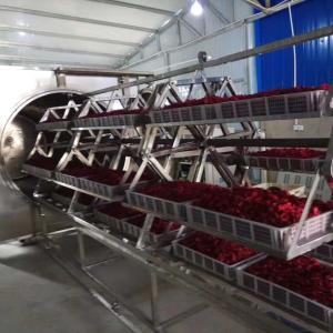 Quality Rose Flower Microwave Commercial Vacuum Oven Spices Vacuum Dryer Oven Machine wholesale