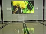 P1.53 Led Video Screen Rental Multimedia Advertising 1R1G1B