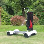 10.5 Inch Tire 4 Wheel Electric Skateboard 2000w 60V/20.8AH Lithium Battery Golf