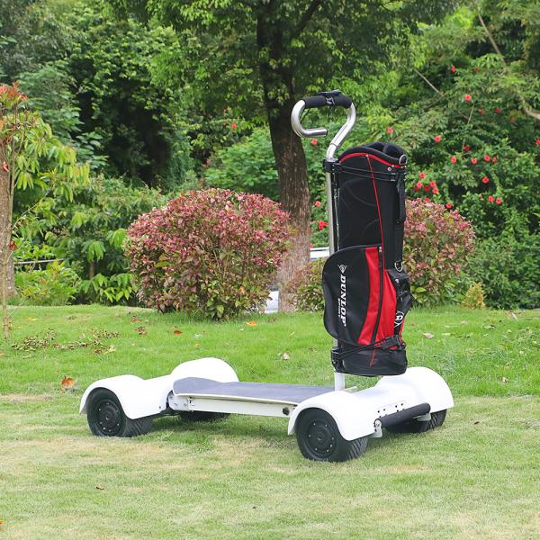 10.5 Inch Tire 4 Wheel Electric Skateboard 2000w 60V/20.8AH Lithium Battery Golf