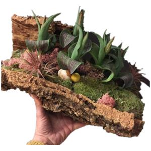 Quality BSCI Natural Color Rough Large Cork Planters Eco Friendly Lightweight wholesale
