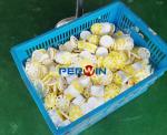 3KW Stainless Steel Filling Machine / Solid Air Freshener Liquid Filling Line