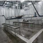 Customized Design Nanjing Changxun Chicken Abattoir Production Line Slaughter