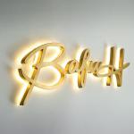 Gold Brush Stainless Steel Backlit Letters Signs