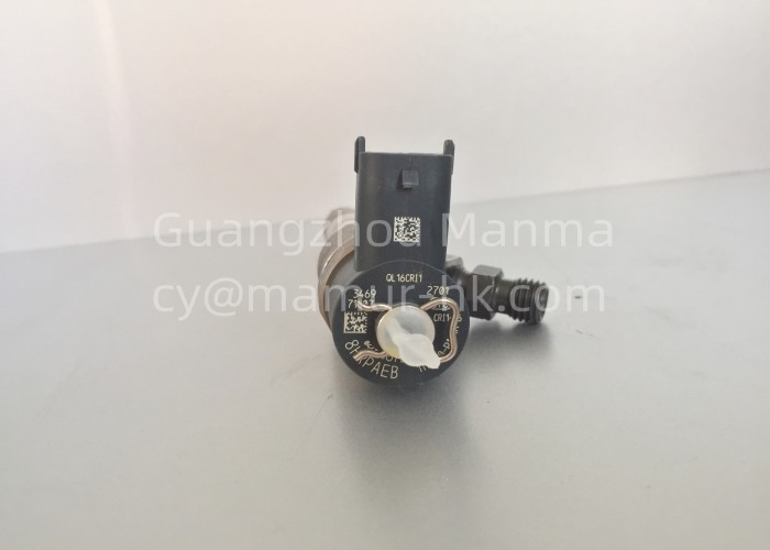 Fuel Injector ASM Truck Auto Part For QINGLING 100P 4JB1CN 1112010-PA11