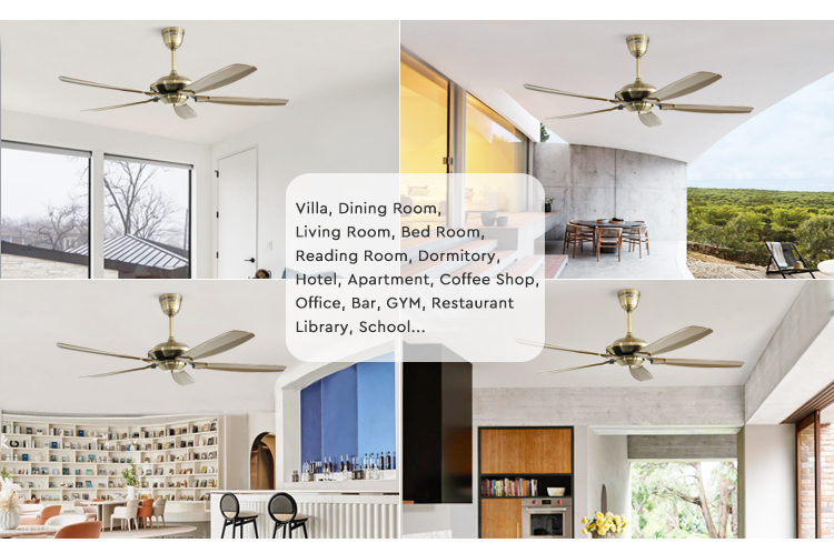 ceiling fan