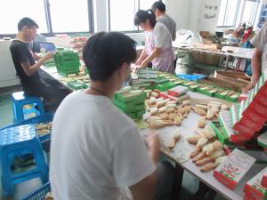 Quality Comb Pre Shipment Inspection Services AQL Quality Inspection wholesale