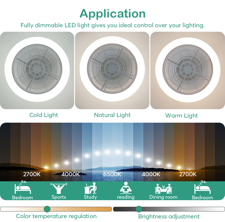 CE Certified Modern Design 6-Speed LED Ceiling Fan with Remote Control and Easy Cleaning
