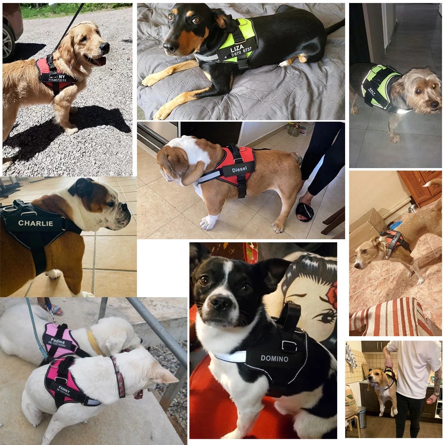 XS-XXL Nylon Pet Harness Dog Chest Harness No Pull High Visibility Dog Harness