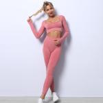 Seamless OEM High Waisted Leggings With Crop Top Spandex Nylon Long Sleeve Yoga