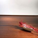 Experience the Beauty of Eco-Friendly Bamboo Flooring for Sustainable Architectu