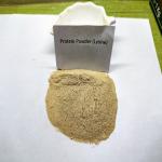 Probiotics Fermentation Brown Poultry Protein Powder Crude Protein 75%