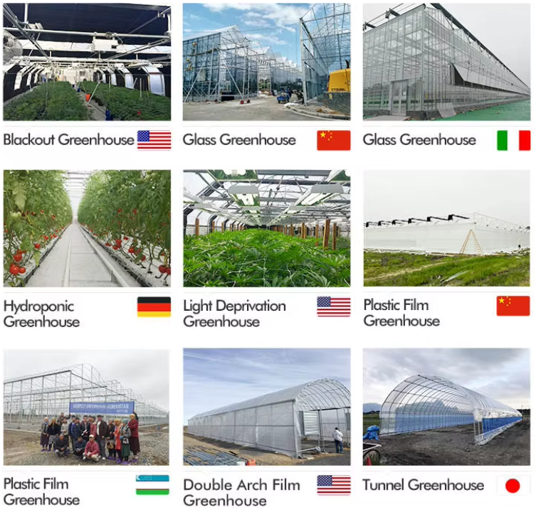 Efficient Strawberry Plant Greenhouse Easy To Install High Performance