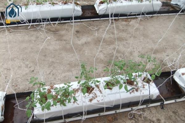 Greenhouse Soilless PP Roll Grow Troughs Folded Cultivation Gutter Cocopeat