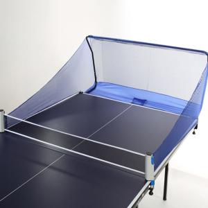 Quality OEM Portable Ping Pong Net Polyester Table Tennis Net Catcher wholesale