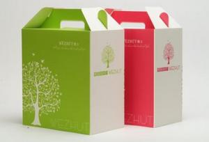 Quality Food delivery box flexo pritning environment protection competitive price wholesale