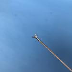 Endoscopic 2300mm Alligator Biopsy Forceps Flexible