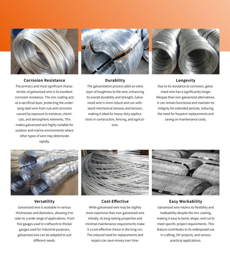 Hot-Dipped Galvanized Iron Wire with 19 Wire Strand Protection in 2.5mm 3mm 4mm Sizes Large Stock from Direct