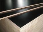 18mm black browm film faced plywood / construction plywood