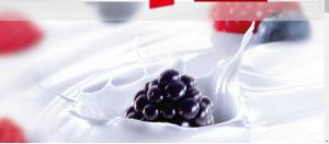 Quality Decorations wholesale