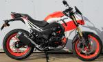 VOLTEX 250 Price 410USD Streebike Style Large 250CC Engine Petrol Moto OEM Adult