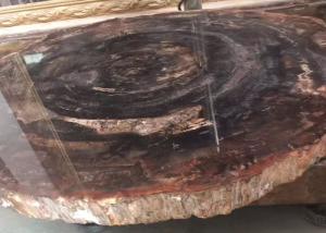 Quality Polished Brown Natural Semi Precious Stone Slabs Petrified Wood wholesale