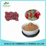 High Purity Pharmaceutical Organic Schisandra Extract Gallic Acid
