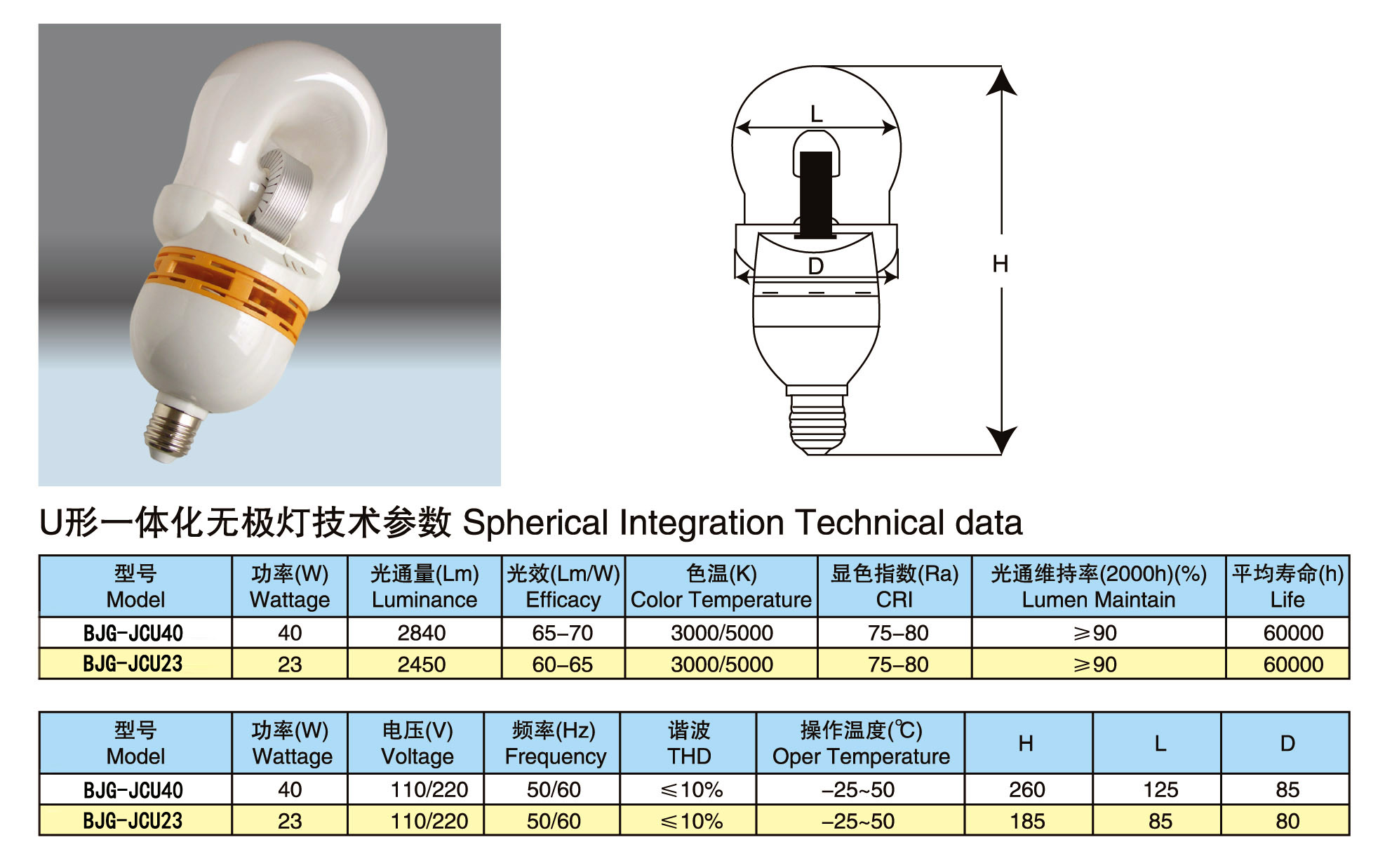 40 watt lvd induction lamps |Compact self ballasted LVD induction lamps| Indoor lighting