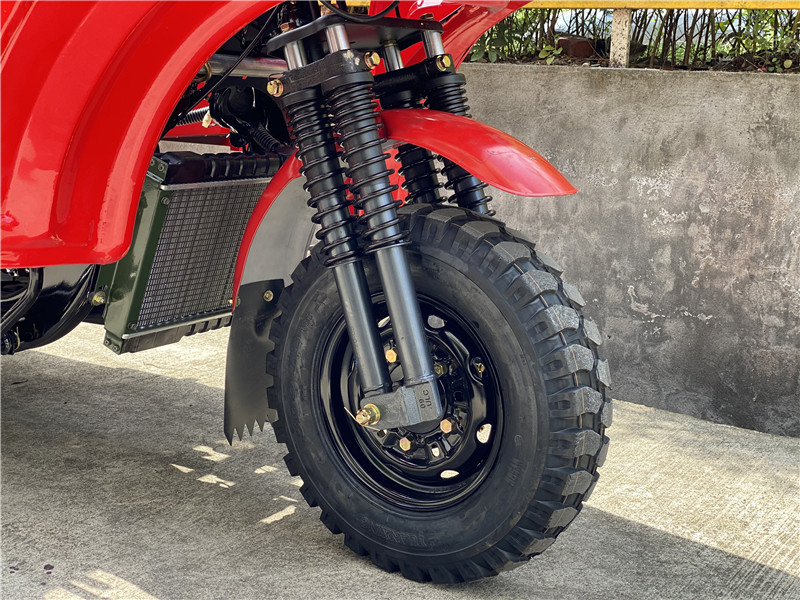 250CC Petrol Gasoline Closed Three Wheels Motorcycle for Heavy Duty Cargo Transport