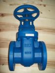 (BS) Cast Iron Gate Valve Flanged Ends