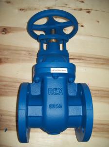 Quality (BS) Cast Iron Gate Valve Flanged Ends wholesale
