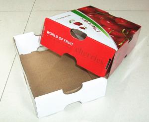 Quality custom corrugated paper fruit box wholesale