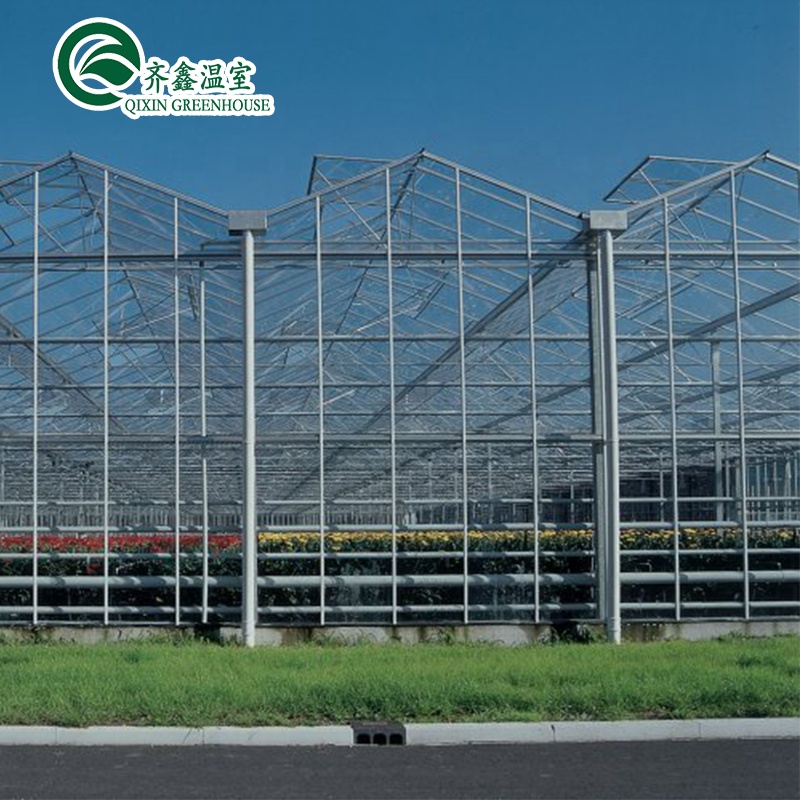Glass Greenhouse Ventilation System with Tempered Glass or PC Sheet Top Covering