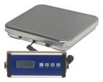 30Kg 60Kg 150Kg 300Kg 600 Kg Platform Scale Weighing Scale For Industrial Use