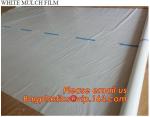 Stretch Film Type and Agricultural Packaging Film Usage LLDPE Silage Film/bale
