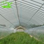 Large Height 3-10m Polytunnel Greenhouse The Ideal Growing Environment for Your