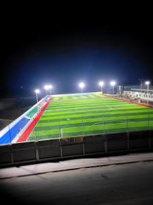 Quality 8000-15000 Dtex Synthetic Grass High Quality Football Grass Artificial For Soccer Court Built In Yemen wholesale