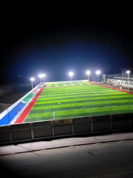 8000-15000 Dtex Synthetic Grass High Quality Football Grass Artificial For