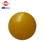 Anti Explosion Fitness Balance Ball , Bear 1000lb Weight 65cm Exercise Ball