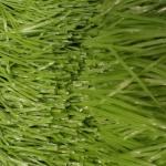 Natural Artificial Golf Green Turf Tpe Rubber Granule For Display 1mm Width