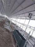 1.8m Large Plastic Water Trough Sheep Animal Husbandry Equipment