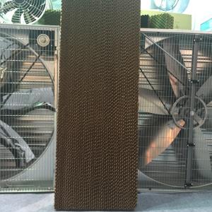 Quality 5090/7060/7090 farm/factory/greenhouse evaporative cooling pad with high efficiency wholesale