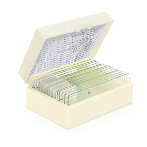 Quality Biological Fixed 15pcs Fungi Microscope Slides For Medical Research wholesale