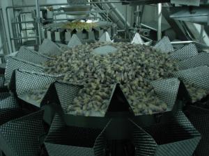 Quality Multihead Weigher Gummy Bear Candy Packaging Machine 500 Gram Waterproof wholesale