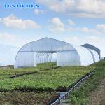 Single Span Polytunnel Greenhouse Kits Farming Small Or Large Size Optional