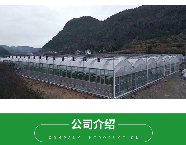 PO Film Double Layer Hydroponic Container for Superior Plant Growth Results