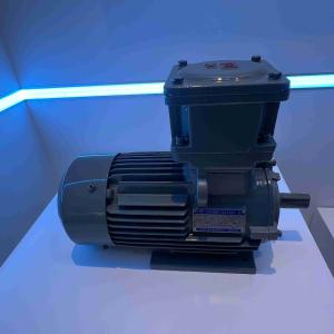 Quality Large Cast Iron Waterproof Electric Motor Medium Voltage wholesale