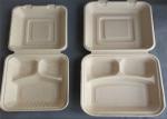 3 Compartment Biodegradable Disposable Microwave Fast Food Container