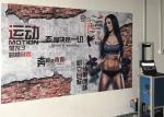 1920X1080 CMYK 3D Wall Inkjet Printer Tx800 Nozzles